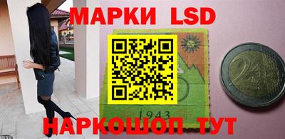 apvp Кингисепп