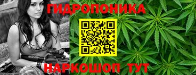 apvp Кингисепп