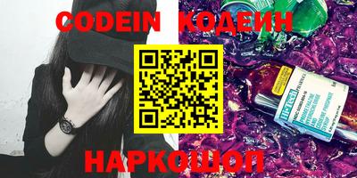 apvp Кингисепп