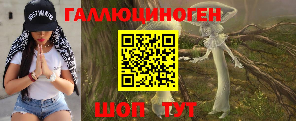 Псилоцибиновые грибы Psilocybe  Вход с VPN  Бузулук  Псилоцибиновые грибы мицелий 